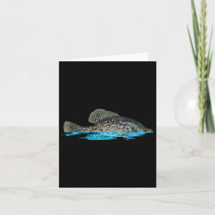 Tarjeta Pesca De La Pescado Gráfica De Pescado Crappie