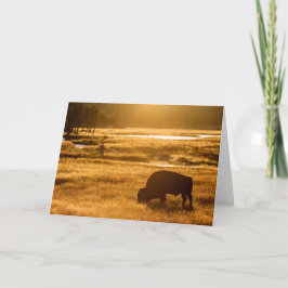 Tarjeta Pesca de otoño