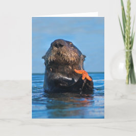 Tarjeta Pesca estelar de Otter en el mar de California