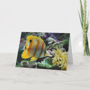 Tarjeta Pescado