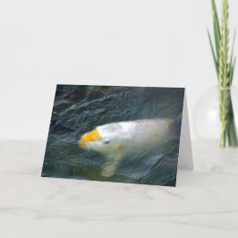 Tarjeta Pescado de oro en el lago