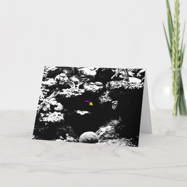 Tarjeta Pescado morado y amarillo Notecard (Anverso)