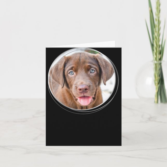 Tarjeta Pet Christmas D Dog Photo Holiday T Shirt  (Anverso)