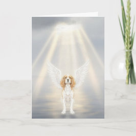 Tarjeta Pet Sympathy Card Always Remembered Sweet Friend