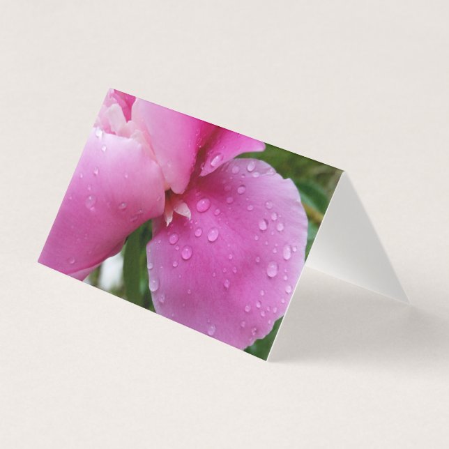 Tarjeta petal perdida en la lluvia (Anverso)