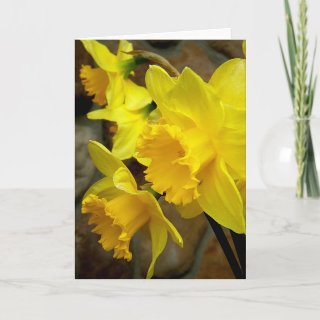 Tarjeta Petales soleados (Anverso)