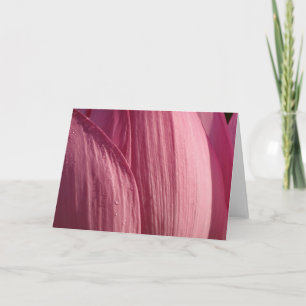 Tarjeta Pétalos de Flor de Loto Rosa Floral