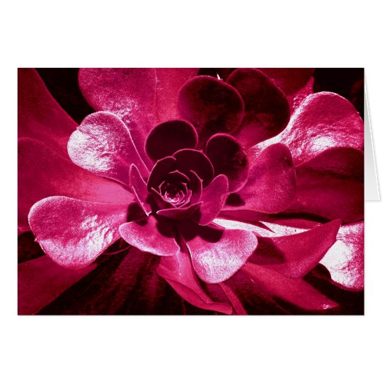 Tarjeta Pétalos de las rosas fuertes