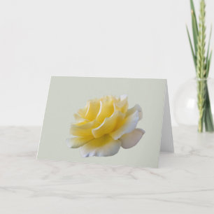 Tarjeta Pétalos de rosa amarillo