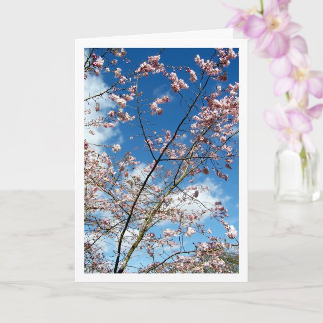 Tarjeta Pétalos rosas en el paisaje del cielo azul (Orquídea)