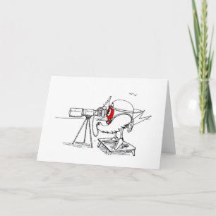 Tarjeta Petirrojo del fotógrafo