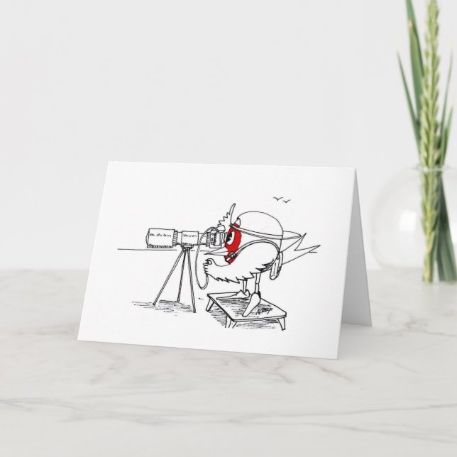 Tarjeta Petirrojo del fotógrafo (Anverso)