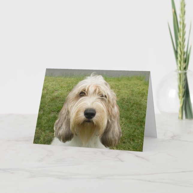 Tarjeta Petit Basette Griffon Vendeen (Anverso)