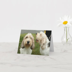 Tarjeta Petit Basette Griffon Vendeen Blank Card