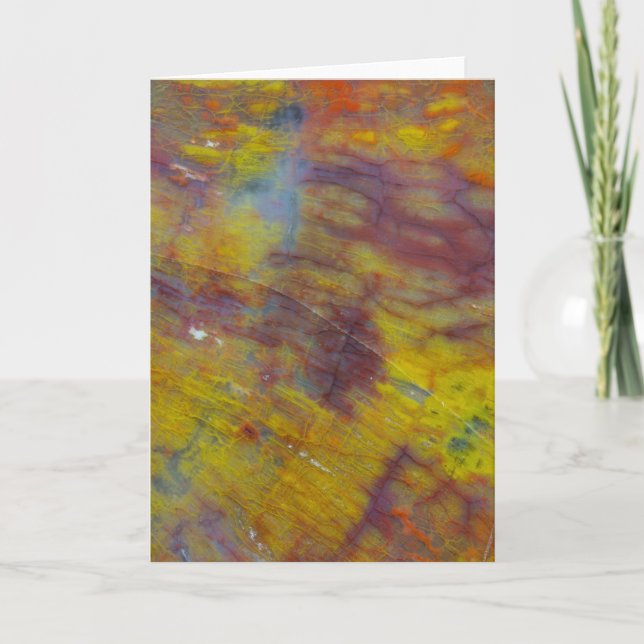 Tarjeta Petrified Wood (Anverso)