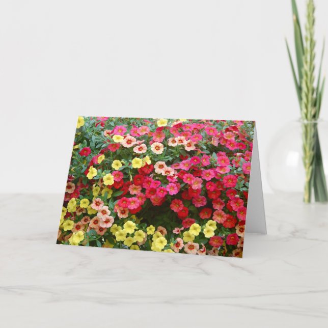 Tarjeta Petunias (Anverso)