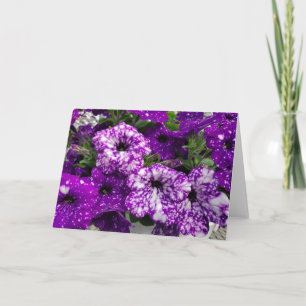 Tarjeta Petunias