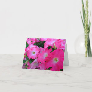 Tarjeta Petunias rosadas
