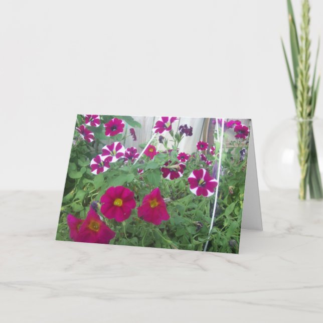 Tarjeta Petunias rosadas (Anverso)