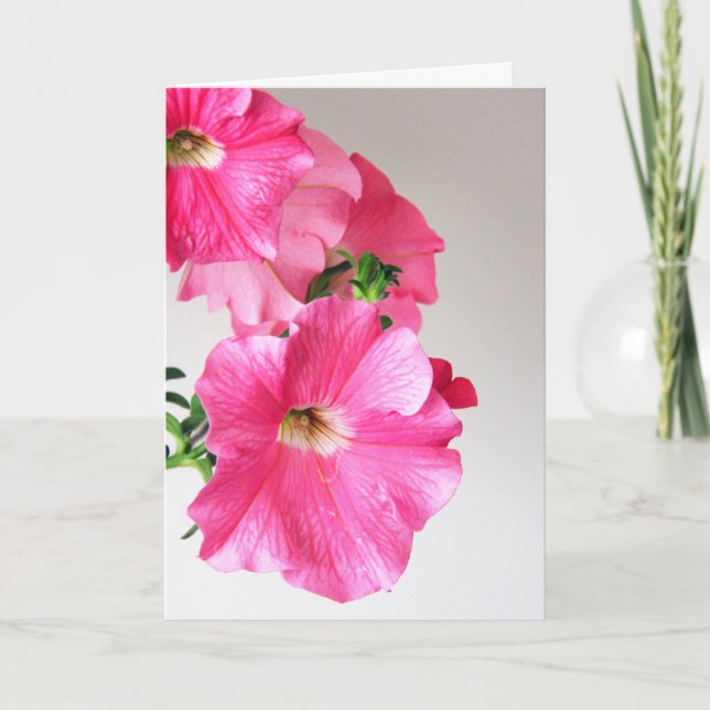 Tarjeta Petunias rosadas de conexión en cascada (Anverso)