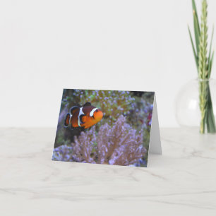 Tarjeta Pez Payaso Coral Anémona de Mar Bajo el Agua Foto 