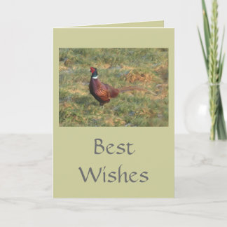 Tarjeta Pheasant