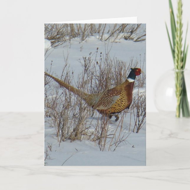 Tarjeta Pheasant B23 (Anverso)