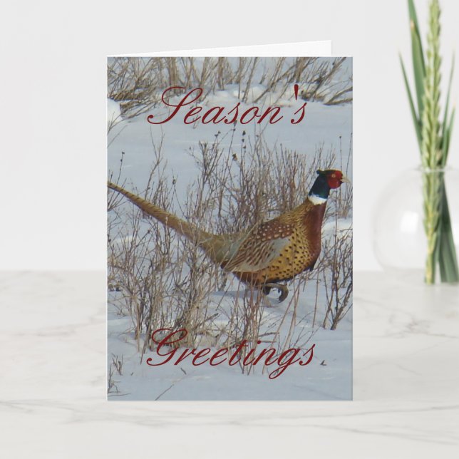 Tarjeta Pheasant B23 (Anverso)