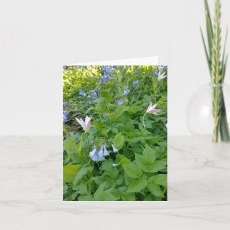 Tarjeta Philippians 4:4 Blank Card