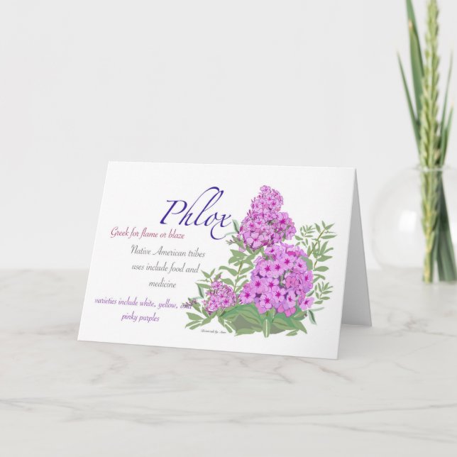 Tarjeta Phlox Blank (Anverso)