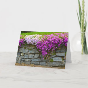 Tarjeta Phlox Stone Wall Notecard