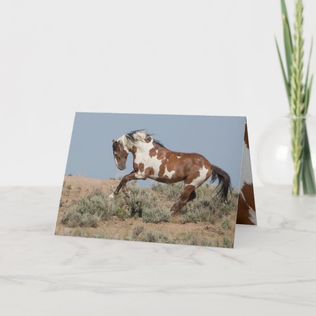 Tarjeta Picasso salta la carta de saludo a caballo salvaje (Anverso)