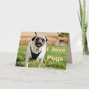Tarjeta Pichos de amor