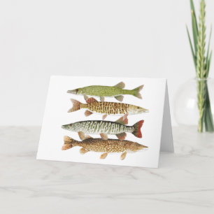 Tarjeta Pickerel, Muskies y Pike