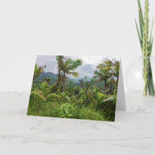 Tarjeta Picos y valles del yunque
