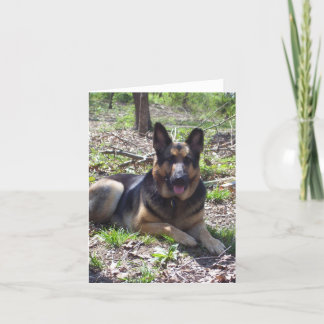 Tarjeta Picture_0373