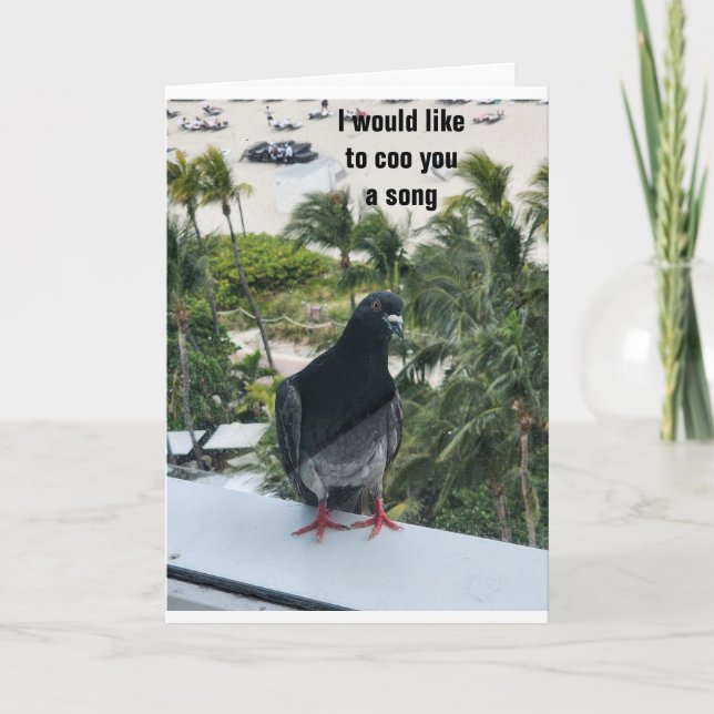 TARJETA ¡PIDGEON COOING *FELIZ CUMPLEAÑOS* PARA USTEDES! (Anverso)