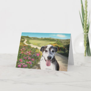 Tarjeta Pie en un campo de Dahlias (Perro en carta en blan