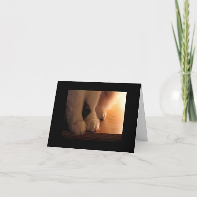 Tarjeta Pies de gato (Anverso)