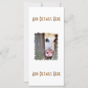 TARJETA PIG