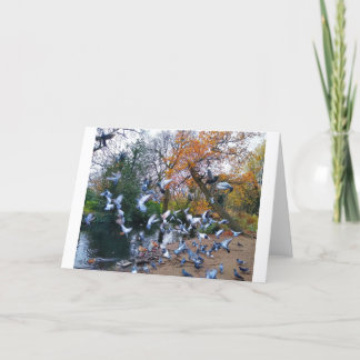 Tarjeta Pigeons, Lloyd Park, Walthamstow, Londres