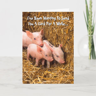 Tarjeta Piggy Pigs Piglet Thinking of You Card