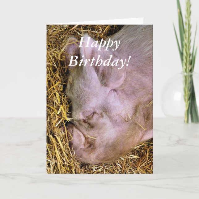 TARJETA PIGS (Anverso)