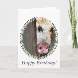 TARJETA PIGS