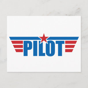 Tarjeta piloto Wings - Aviación