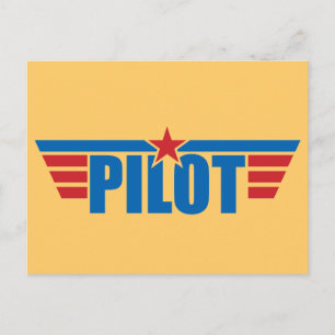 Tarjeta piloto Wings - Aviación