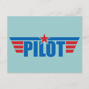 Tarjeta piloto Wings - Aviación
