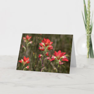 Tarjeta Pincel de pintura