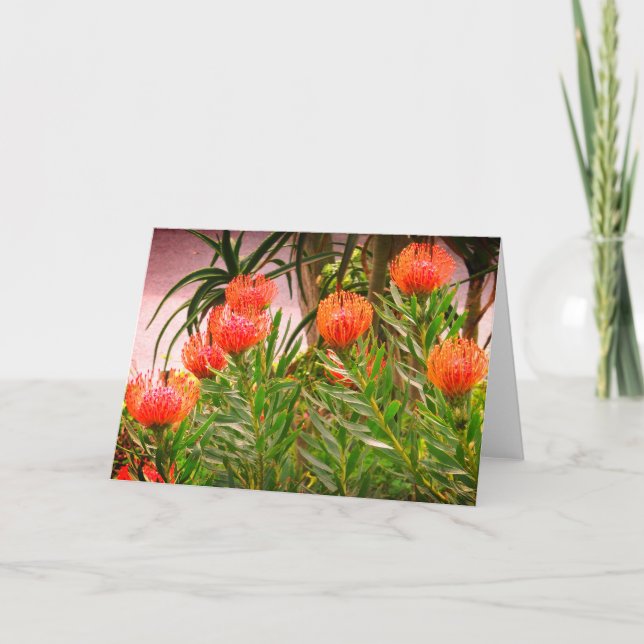 Tarjeta Pincushion Tango #1 (Anverso)