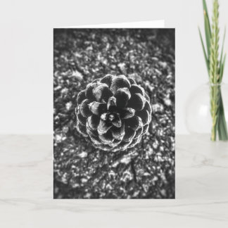 Tarjeta Pine Cone
